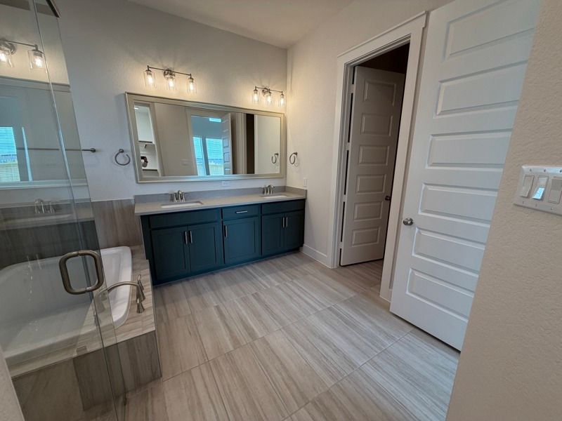 Owner's Bath