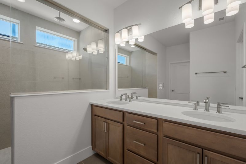 Owner's Bath