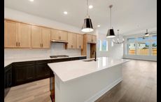 ARTAVIA - Reserve Collection: Conroe, Texas - David Weekley Homes