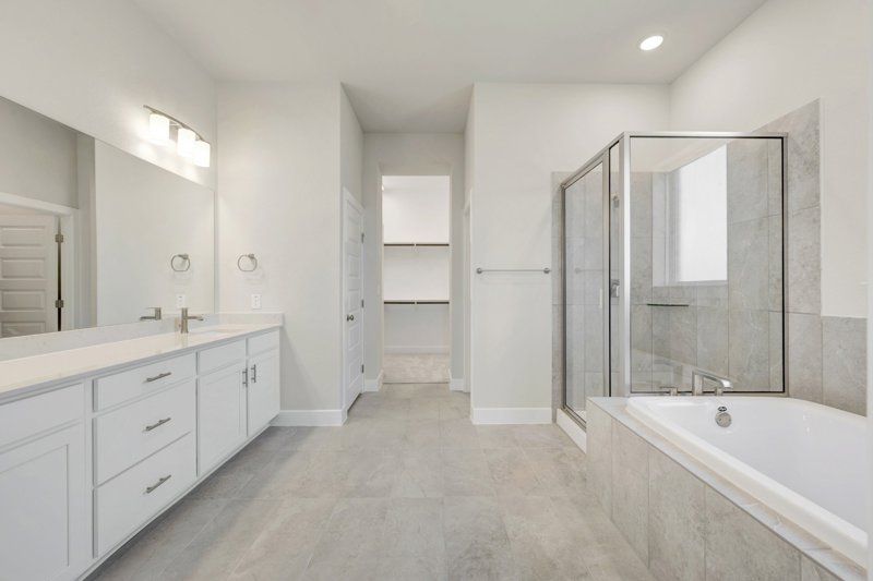 Owner's Bath