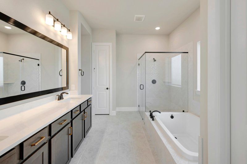 Owner's Bath