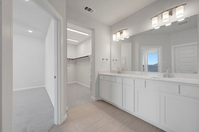 Owner's Bath