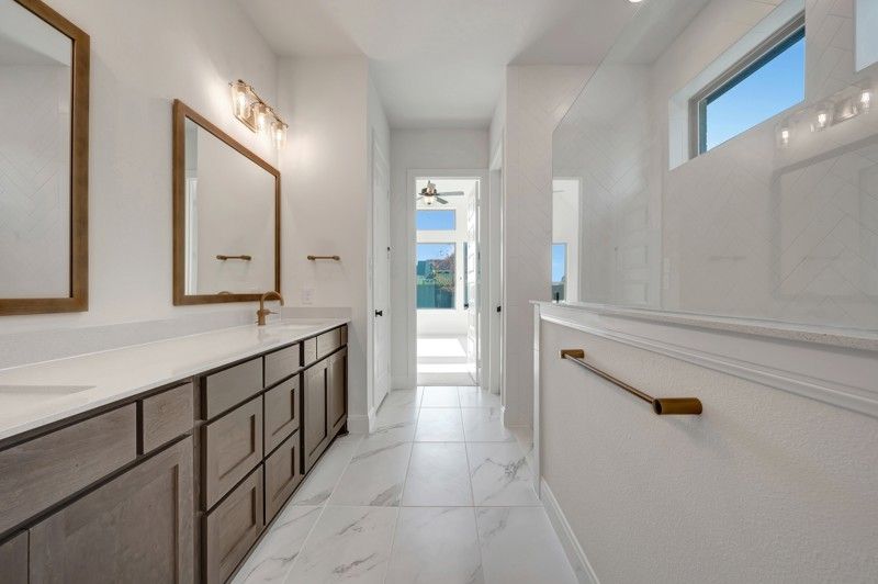 Owner's Bath