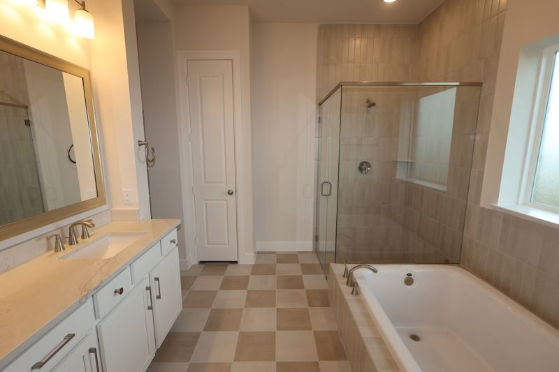 Owner's Bath