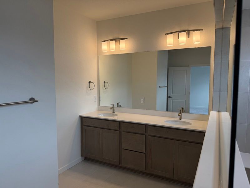Owner's Bath