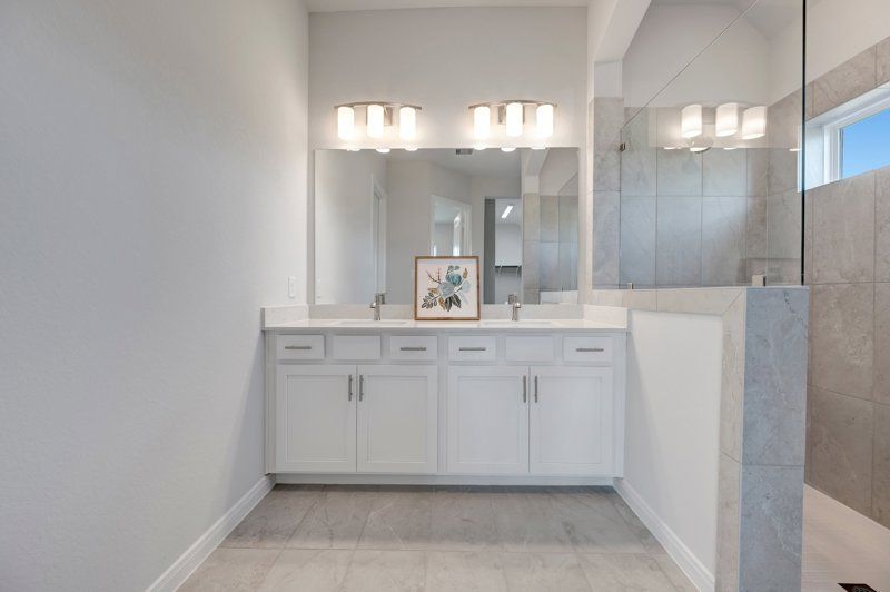 Owner's Bath