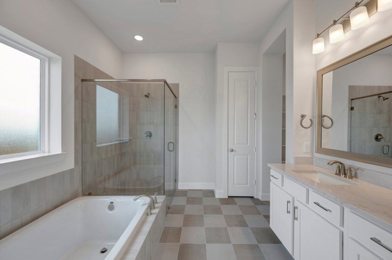 Owner's Bath