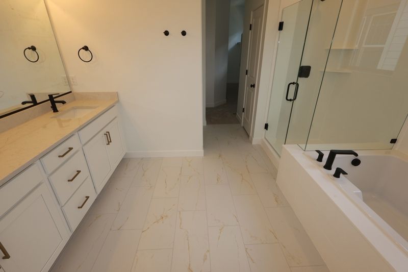 Owner's Bath