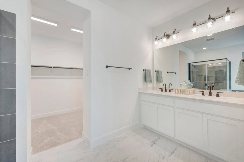 Owner's Bath