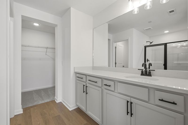 Owner's Bath
