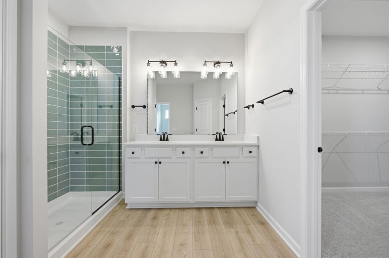 Owner's Bath