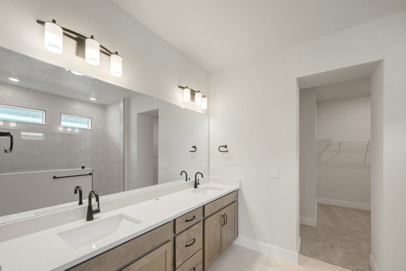 Owner's Bath