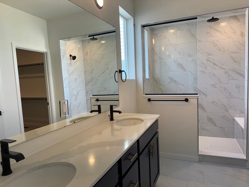 Owner's Bath
