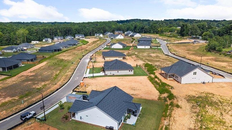 Old Mill Preserve - Community View