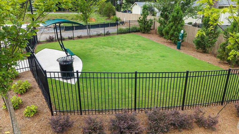 Celesta - Dog Park