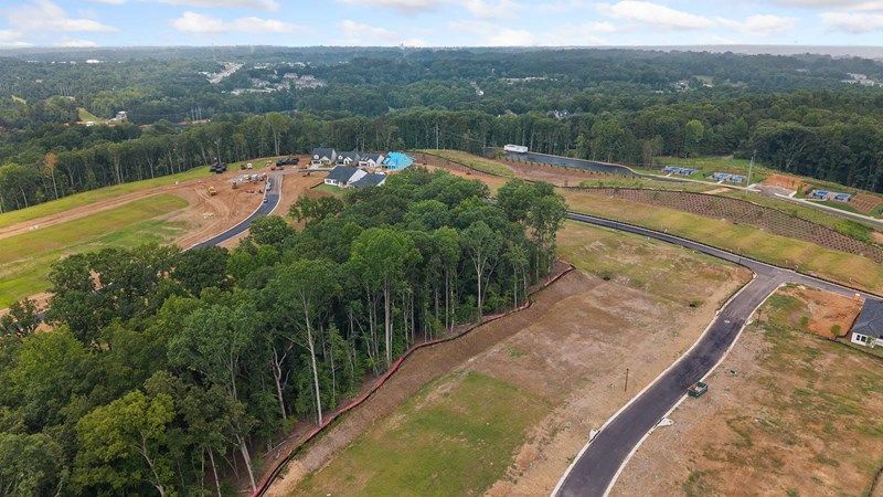 Lanier Landing - Aerial View