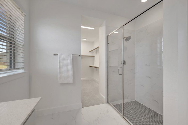 Owner's Bath
