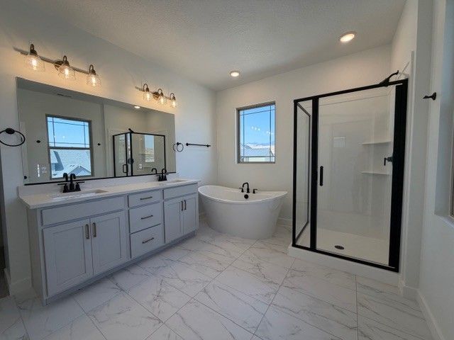 Owner's Bath