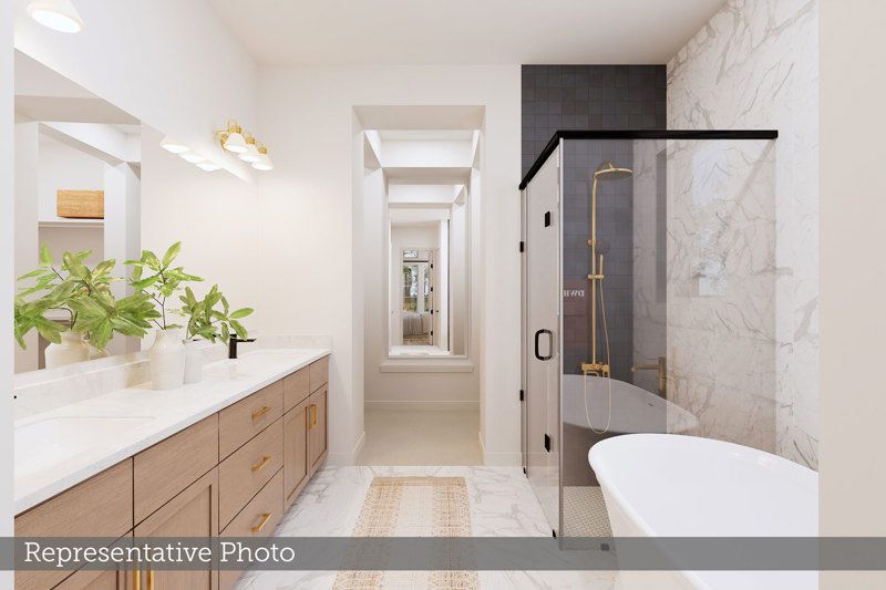 Owner's Bath