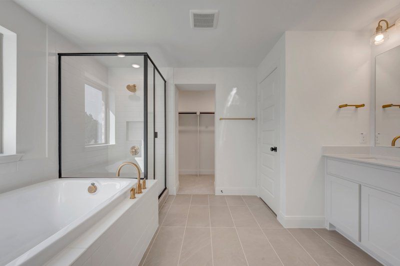 Owner's Bath