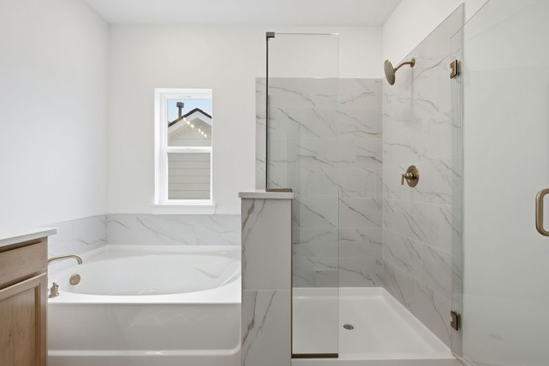 Owner's Bath