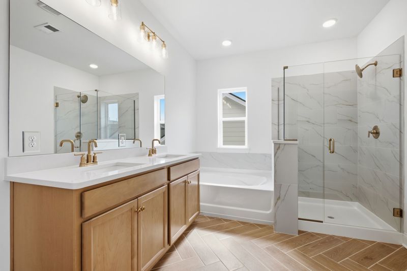 Owner's Bath