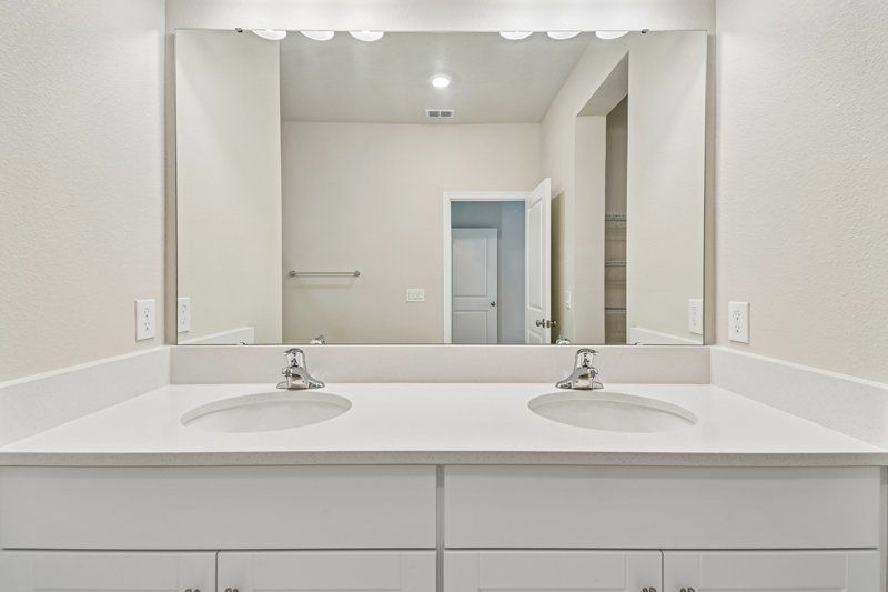 Owner's Bath
