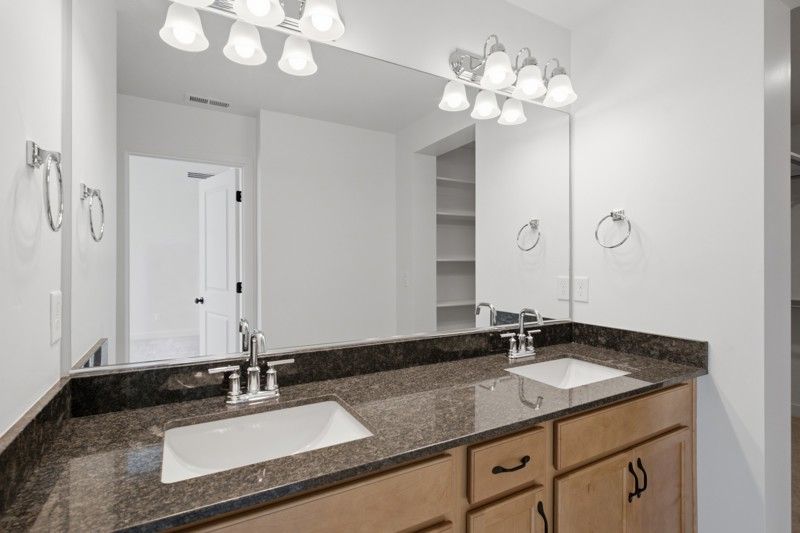 Owner's Bath