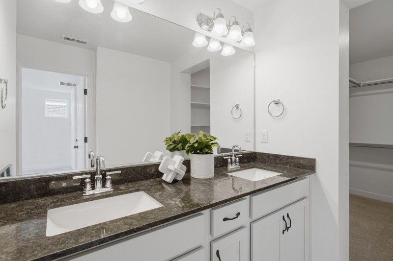 Owner's Bath