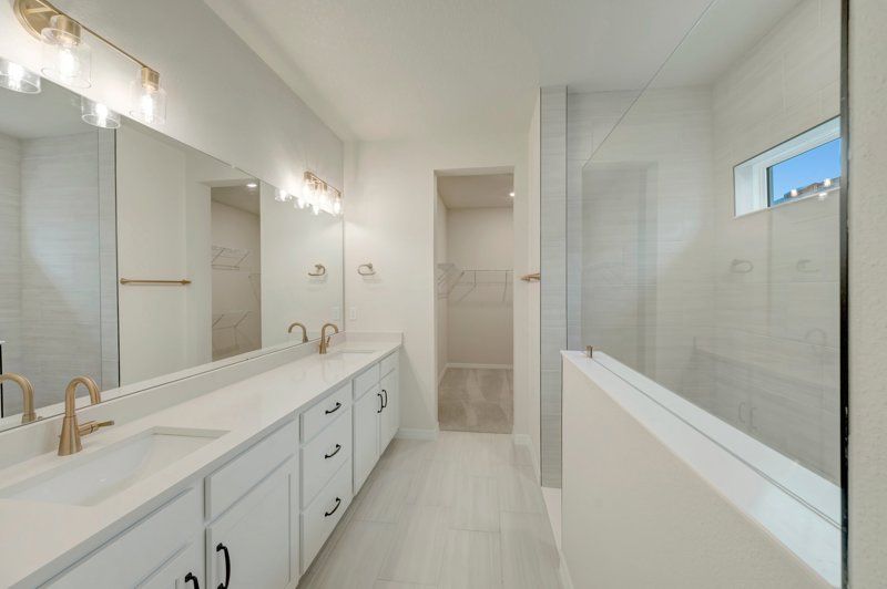 Owner's Bath