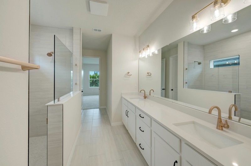 Owner's Bath