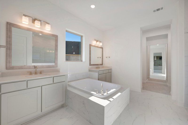 Owner's Bath