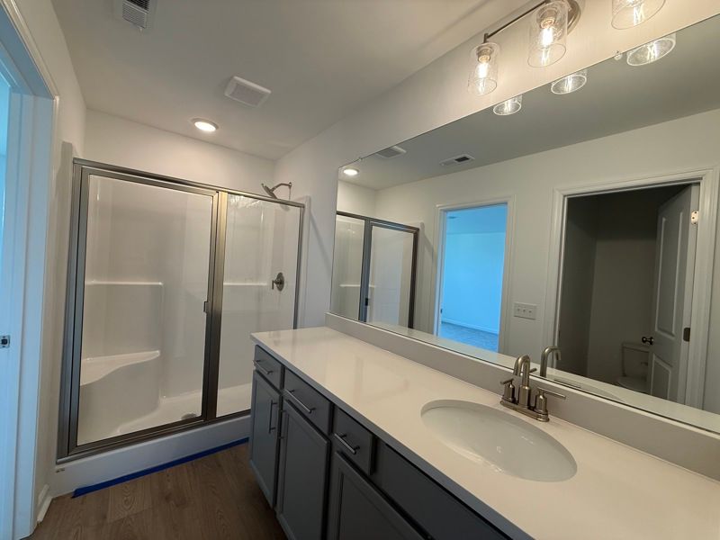 Owner's Bath