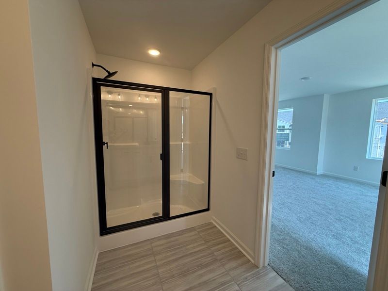 Owner's Bath