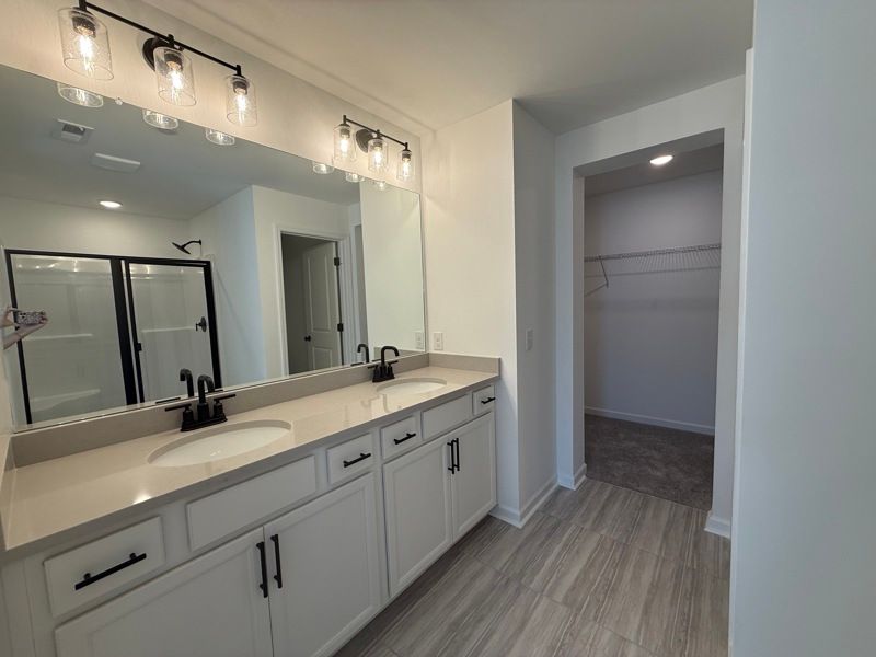 Owner's Bath