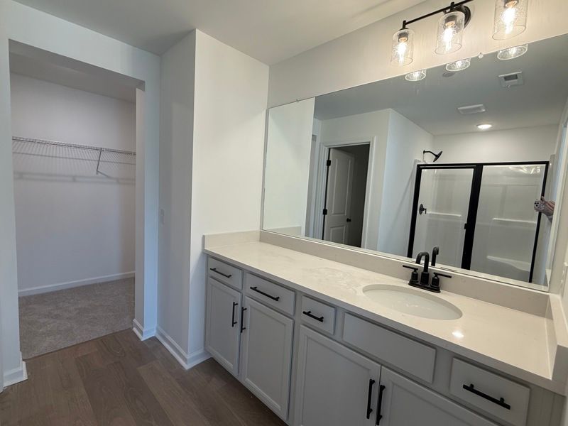 Owner's Bath