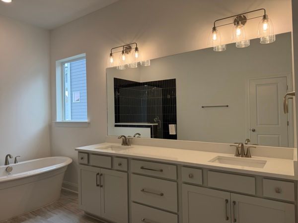 Owner's Bath