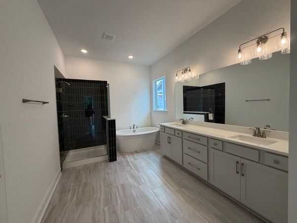 Owner's Bath