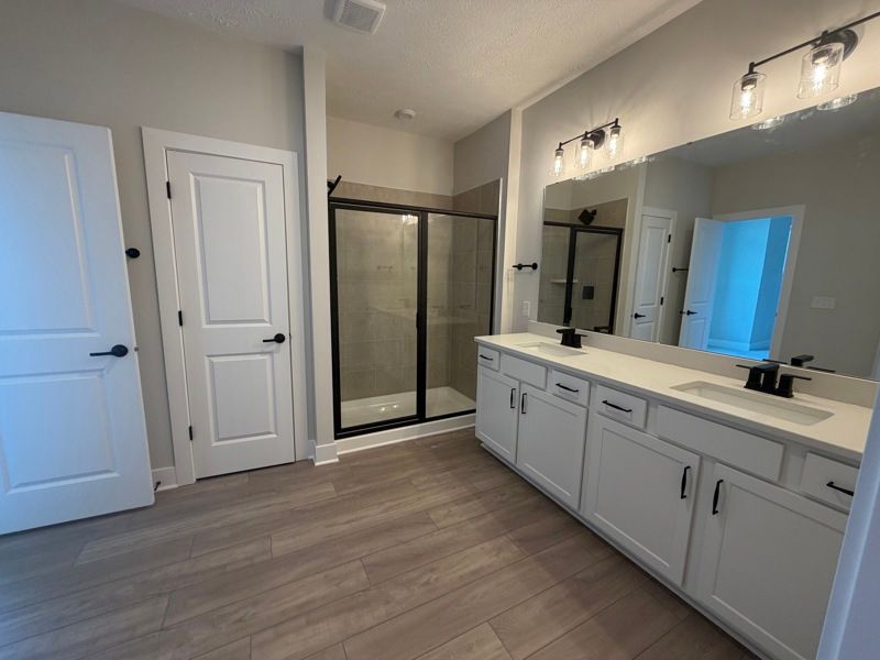 Owner's Bath
