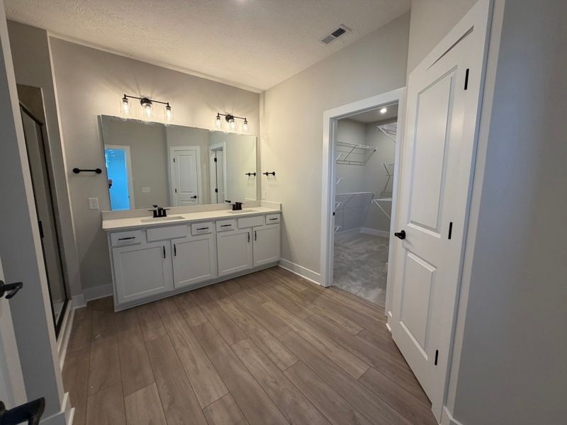 Owner's Bath