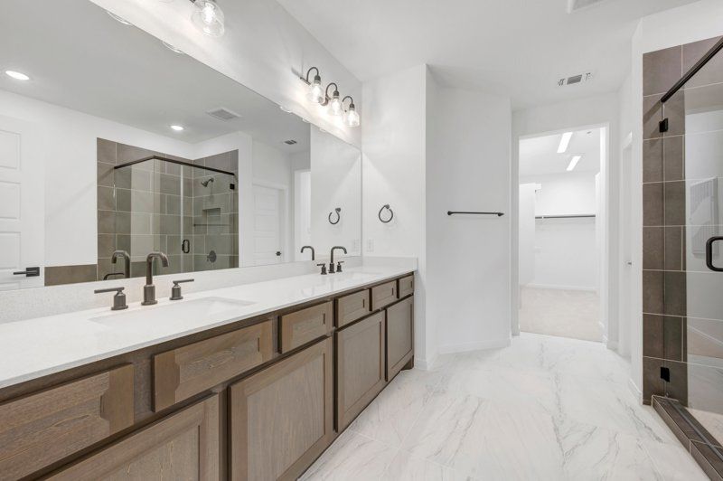 Owner's Bath