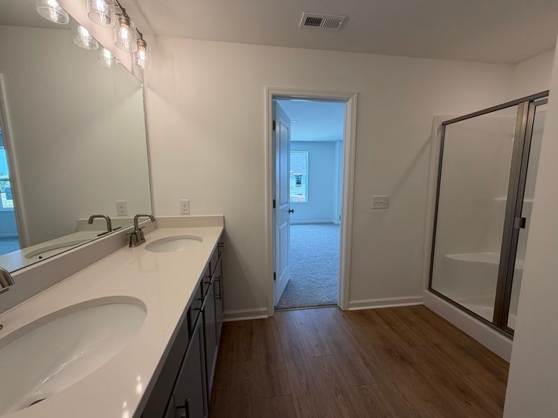 Owner's Bath