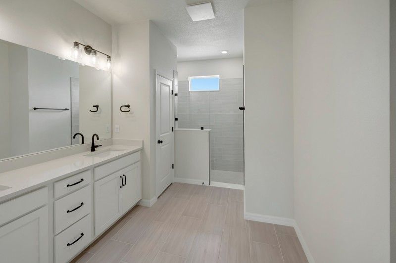 Owner's Bath