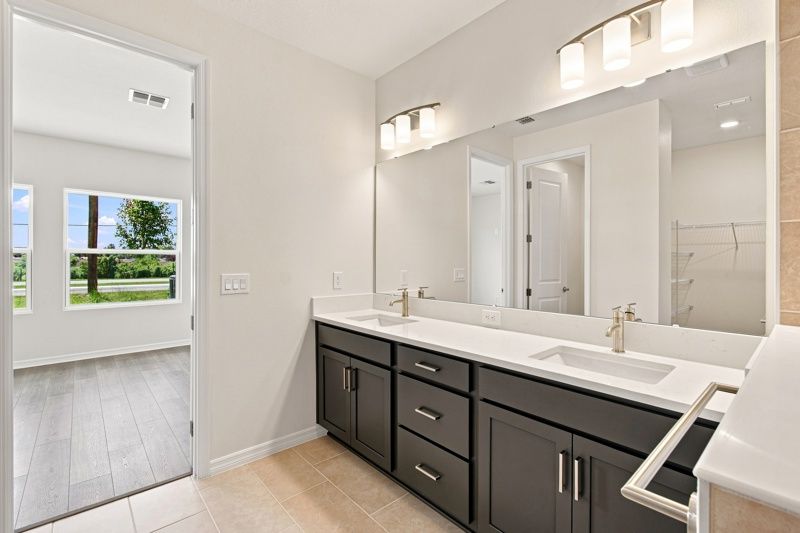 Owner's Bath