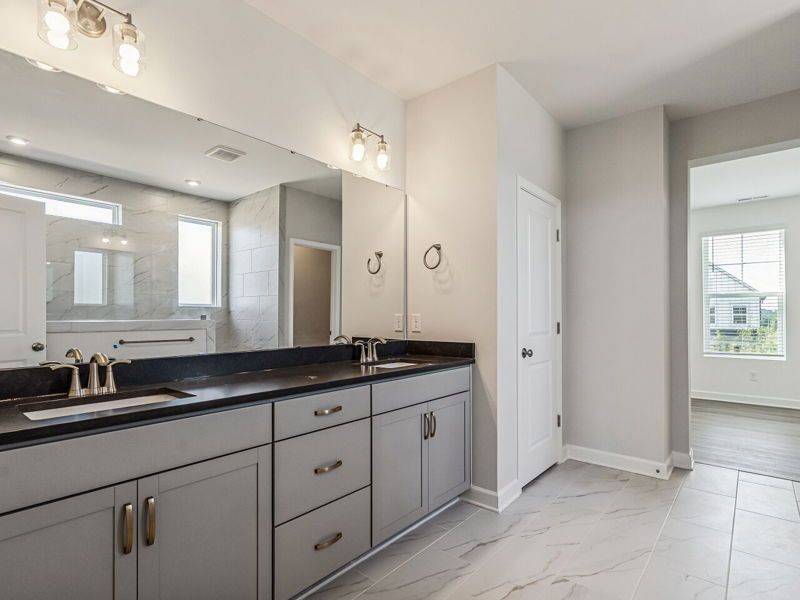 Owner's Bath