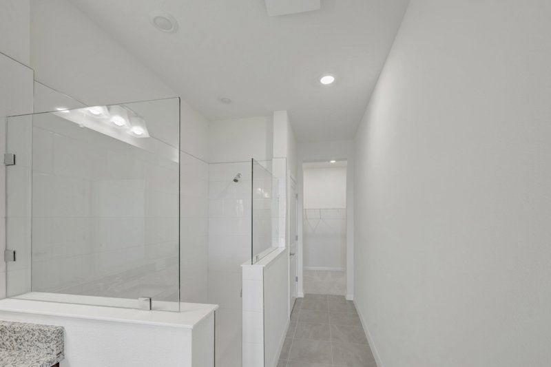 Owner's Bath