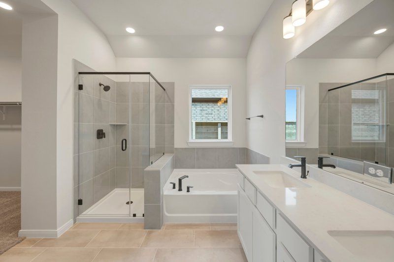 Owner's Bath