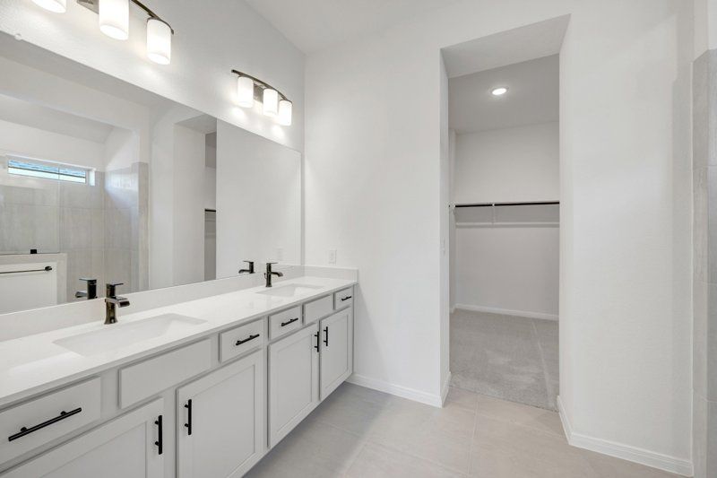 Owner's Bath