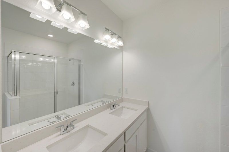 Owner's Bath