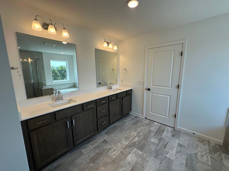 Owner's Bath